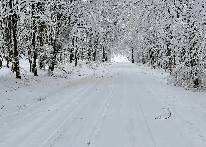 Zum Kleinen Buergermeister * זימראת'